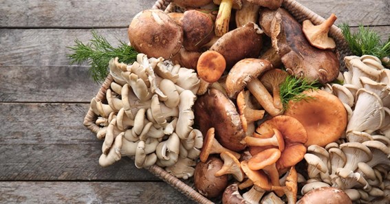 how to know if mushrooms are bad